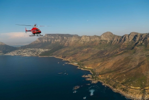 Le Cap : vol en hélicoptère Atlantico