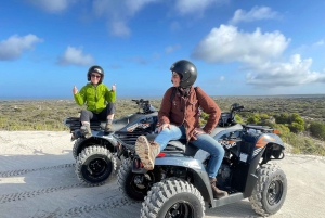 Cape Town: Atlantis Dunes Quad Bike & Free Sandboarding Tour