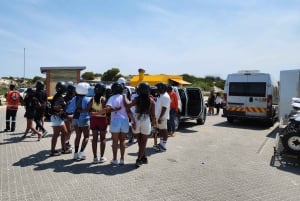 Ciudad del Cabo: Excursión en quad por las dunas de Atlantis y fotos