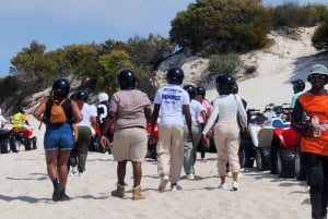 Ciudad del Cabo: Excursión en quad por las dunas de Atlantis y fotos