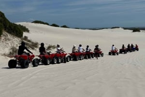 Cape Town: Atlantis Dunes Quad Bike Tour