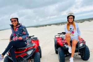 Cape Town: Tur med firhjuling på Atlantis Dunes