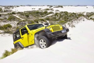 Cape Town: Atlantis sanddyner - Xtreme Sand Adventure Combo
