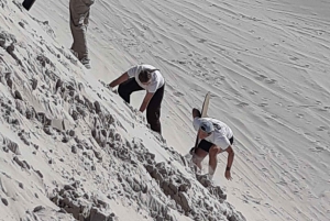 ケープタウン：アトランティス砂丘のサンドボーディング体験