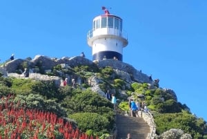 Cidade do Cabo: O melhor da Península do Cabo - Excursão de dia inteiro