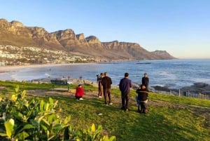 Cidade do Cabo: O melhor da Península do Cabo - Excursão de dia inteiro