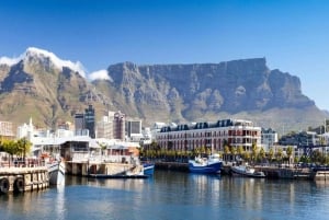 Cidade do Cabo: O melhor da Península do Cabo - Excursão de dia inteiro