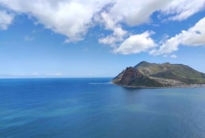 Cidade do Cabo: O melhor da Península do Cabo - Excursão de dia inteiro