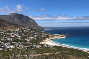 Cidade do Cabo: O melhor da Península do Cabo - Excursão de dia inteiro