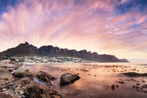 Cape Town: Best of the Cape Private Tour