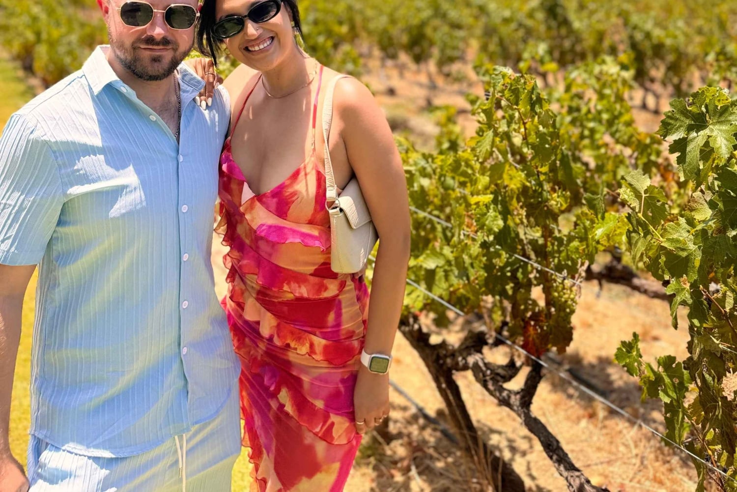 Kapsztad: degustacja win w Beyerskloof, Spier i Ernie Els