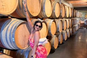 Kapsztad: degustacja win w Beyerskloof, Spier i Ernie Els