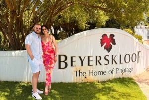 Kapsztad: degustacja win w Beyerskloof, Spier i Ernie Els