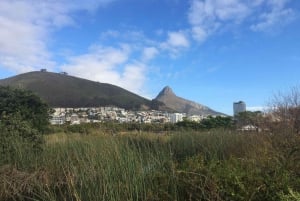 Cape Town: Bicycle Tour - A fun way to explore Cape Town