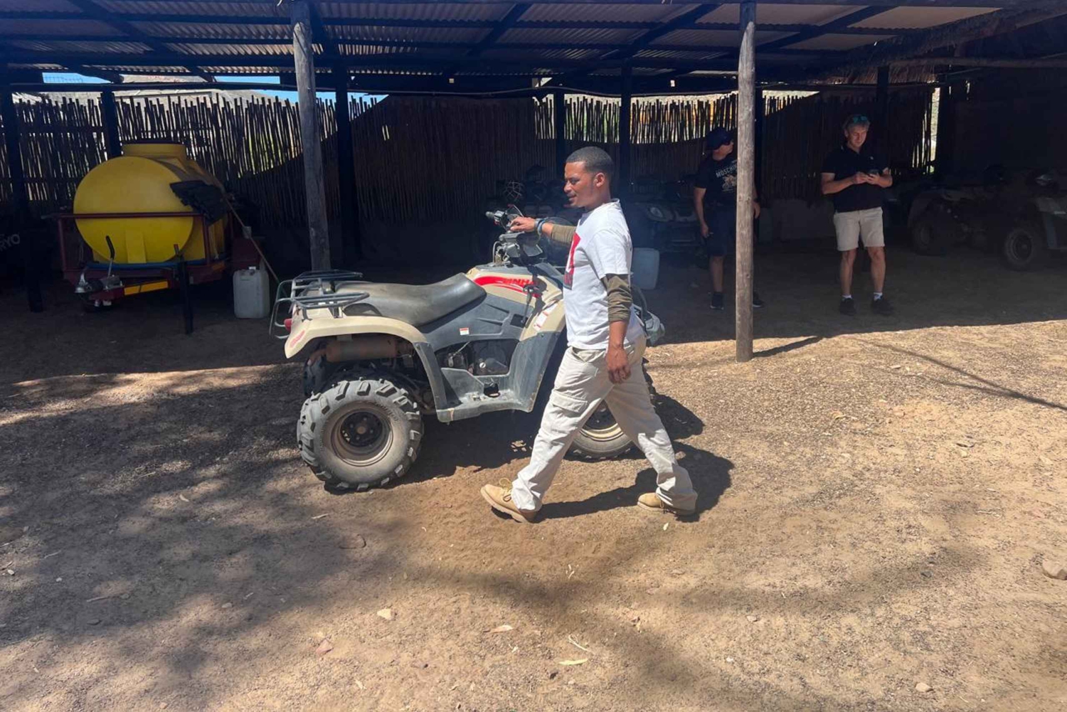 Cape Town: Big 5 Private Safari and Wine Tasting Day Trip