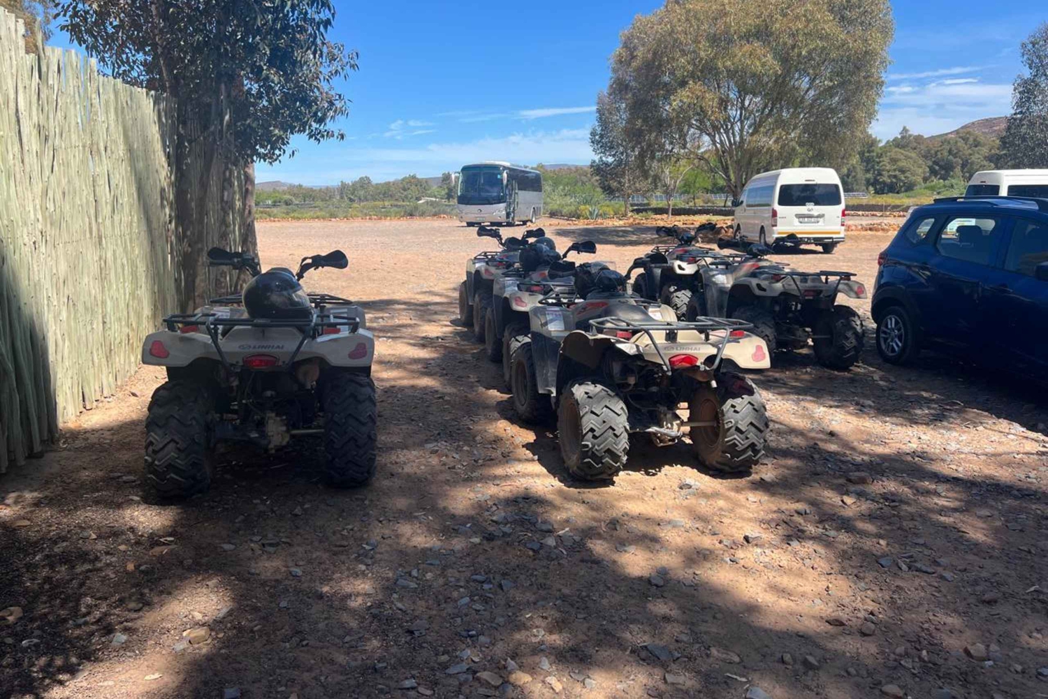 Cape Town: Big 5 Private Safari and Wine Tasting Day Trip