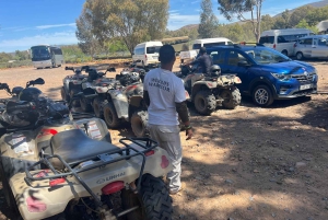 Cape Town: Big 5 Private Safari and Wine Tasting Day Trip