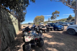 Cape Town: Big 5 Private Safari and Wine Tasting Day Trip