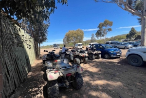 Cape Town: Big 5 Private Safari and Wine Tasting Day Trip