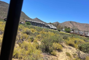 Cape Town: Big 5 Private Safari and Wine Tasting Day Trip