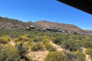 Cape Town: Big 5 Private Safari and Wine Tasting Day Trip