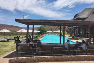 Kapstaden Big 5 Safari dagstur med upphämtning från hotell och GameDrive