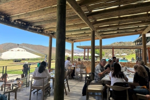 Kapstaden Big 5 Safari dagstur med upphämtning från hotell och GameDrive