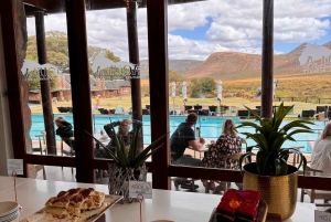 Kapstaden Big 5 Safari dagstur med upphämtning från hotell och GameDrive