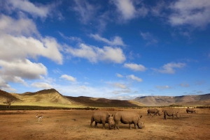 Кейптаун: Сафари Большой Пятерки и однодневная экскурсия в долину реки Бриде