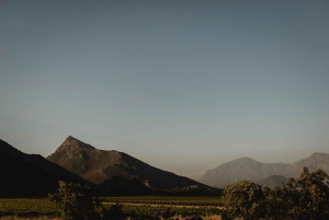 Кейптаун: Сафари Большой Пятерки и однодневная экскурсия в долину реки Бриде