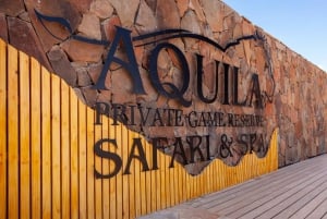 Cape Town: Aquila Big Five Safari with Transfers