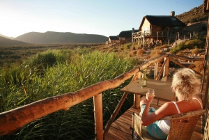 Cape Town: Aquila Big Five Safari with Transfers