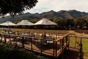 Cape Town: Aquila Big Five Safari with Transfers