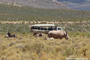 Cape Town: Aquila Big Five Safari with Transfers