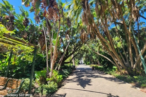 Cape Town: Bo-kaap Table Mountain Champagne Sunset Cruise