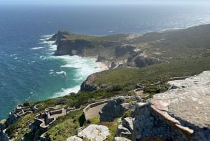 Cape Town: Boulders Beach & Cape Point heldag med måltider