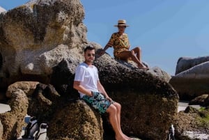Città del Capo: Tour di mezza giornata per l'osservazione dei pinguini a Boulders Beach