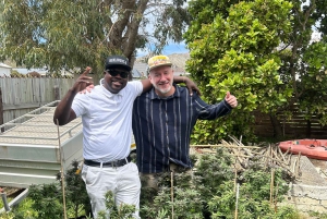 Cape Town: Cannabis- og vintur med smaking