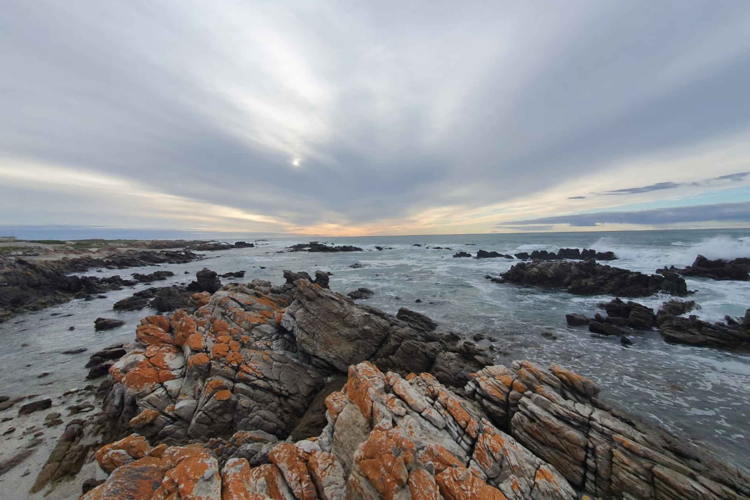Kapstadt: Cape Aghullas Van Tour mit Abholung vom Hotel