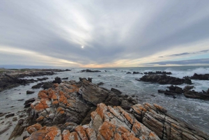 Cape Town: Cape Aghullas Van Tour with Hotel Pickup