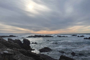 Kapstadt: Cape Aghullas Van Tour mit Abholung vom Hotel