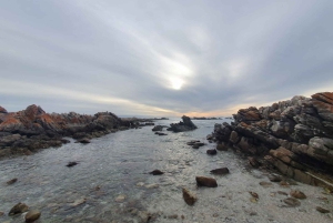 Kapstadt: Cape Aghullas Van Tour mit Abholung vom Hotel