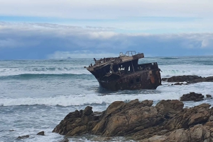 Kapstadt: Cape Aghullas Van Tour mit Abholung vom Hotel