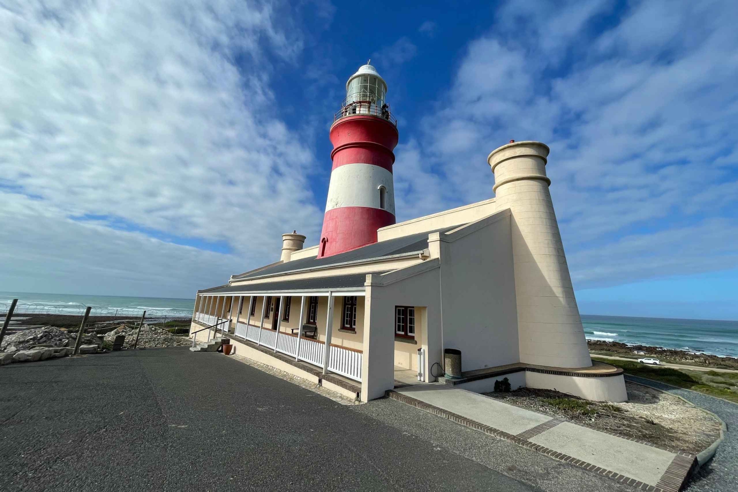 Città del Capo: Tour dei pinguini di Cape Agulhas e Stony Point