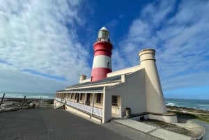 Cape Town: Cape Agulhas og Stony Point Penguin Tour
