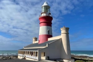 Cape Town: Cape Agulhas og Stony Point Penguin Tour