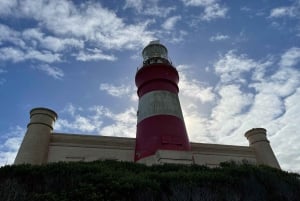 Cape Town: Cape Agulhas og Stony Point Penguin Tour