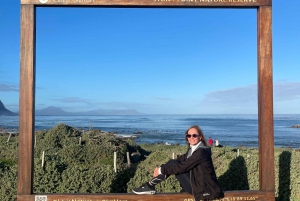 Cape Town: Cape Agulhas og Stony Point Penguin Tour