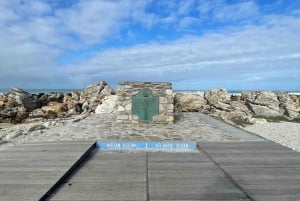 Cape Town: Cape Agulhas og Stony Point Penguin Tour