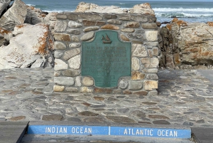 Città del Capo: Tour dei pinguini di Cape Agulhas e Stony Point